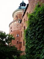 126-13.06. Schloss Gripsholm